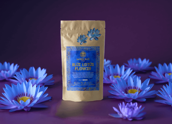 Pure Blue Lotus Flower